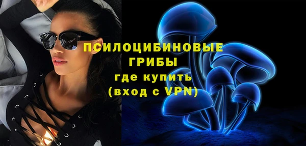 стафф Бородино