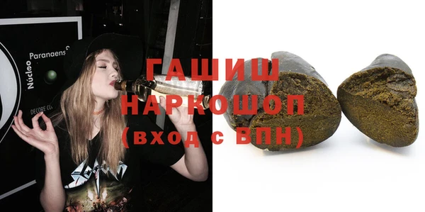 стафф Бородино