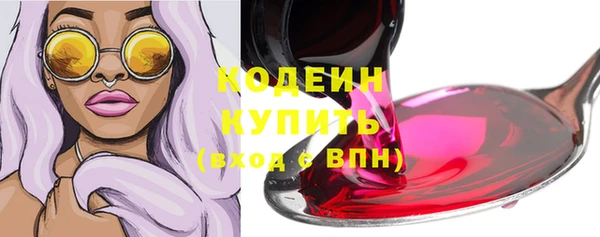стафф Бородино