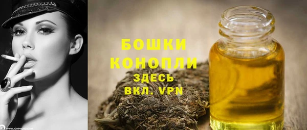 стафф Бородино