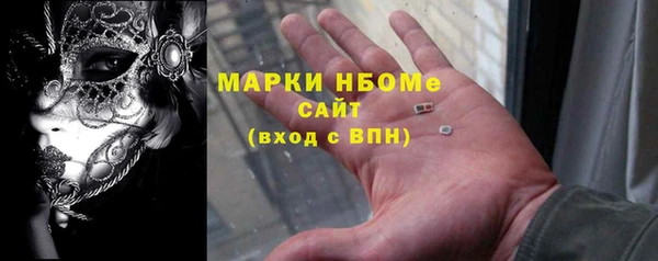 стафф Бородино